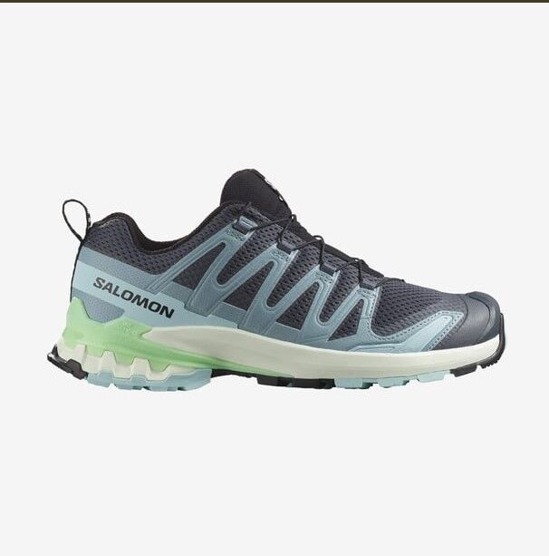 Salomon Xa Pro 3D V9 W Koşu Ayakkabısı