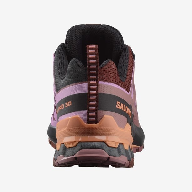 Salomon Xa Pro 3D V9 W Koşu Ayakkabısı