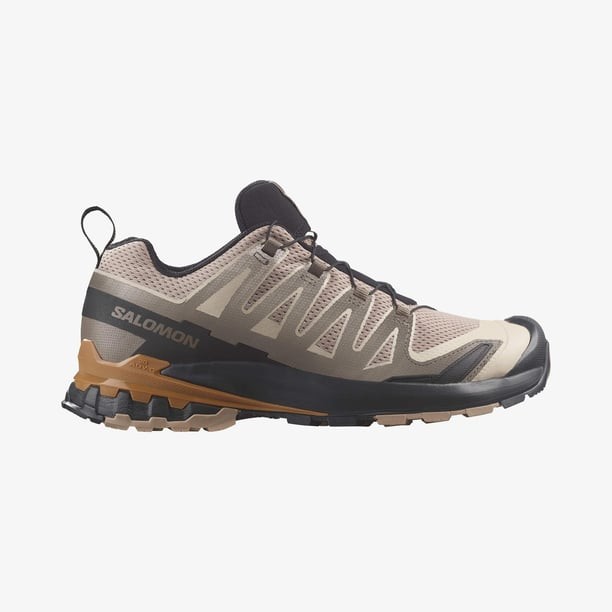 Salomon Xa Pro 3D V9 Erkek Koşu Ayakkabısı
