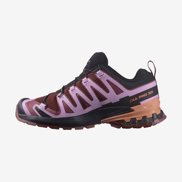 Salomon Xa Pro 3D V9 W Koşu Ayakkabısı