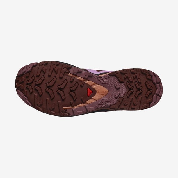 Salomon Xa Pro 3D V9 W Koşu Ayakkabısı