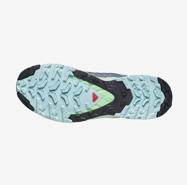 Salomon Xa Pro 3D V9 W Koşu Ayakkabısı