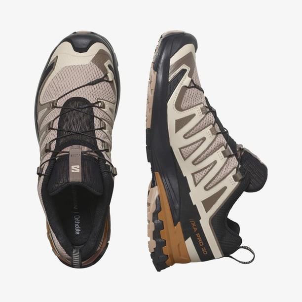 Salomon Xa Pro 3D V9 Erkek Koşu Ayakkabısı