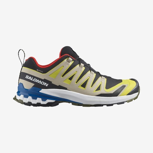 Salomon Xa Pro 3D V9 Gore-Tex Erkek Patika Koşu Ayakkabısı