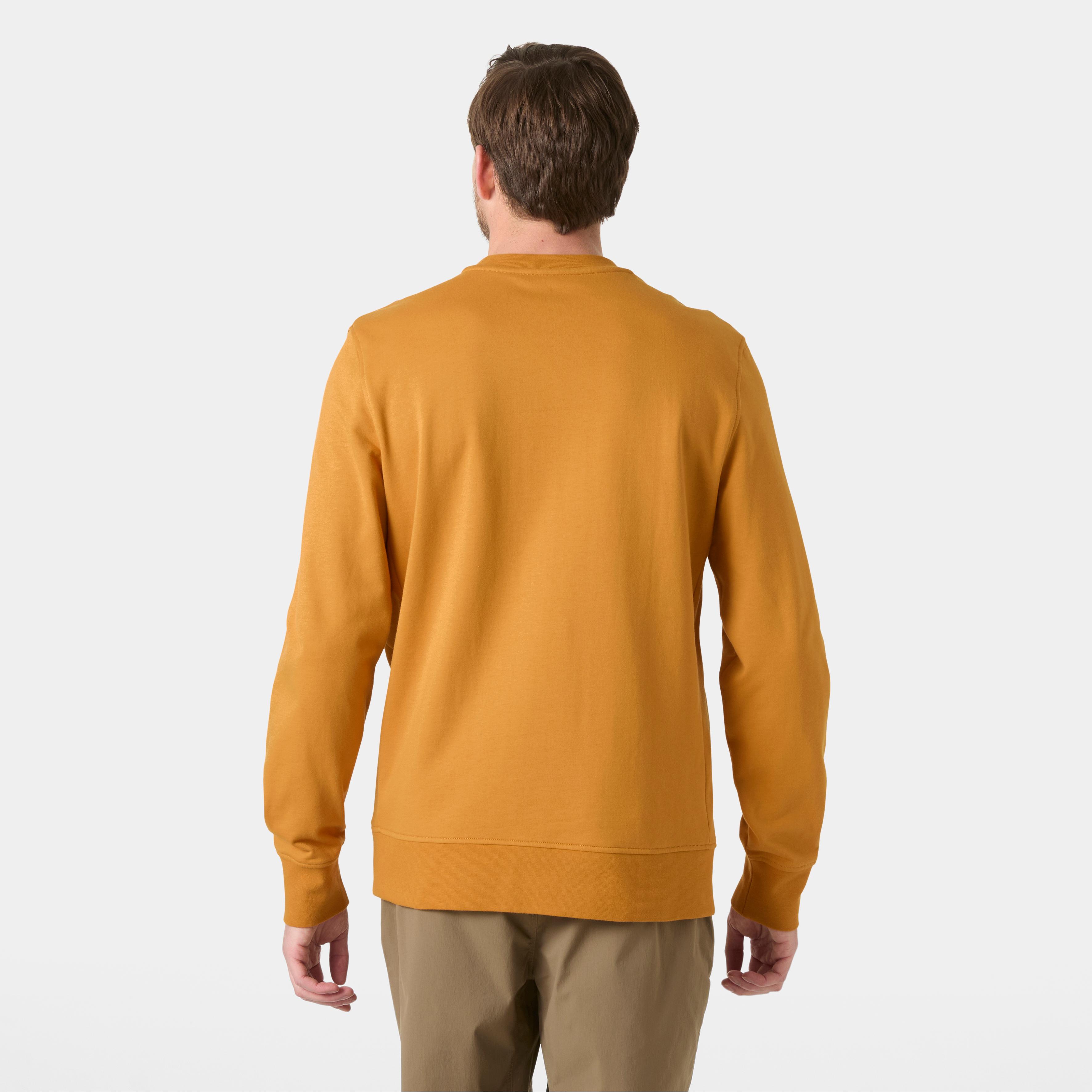 Helly Hansen Nord Graphic Crew Erkek Sweatshirt