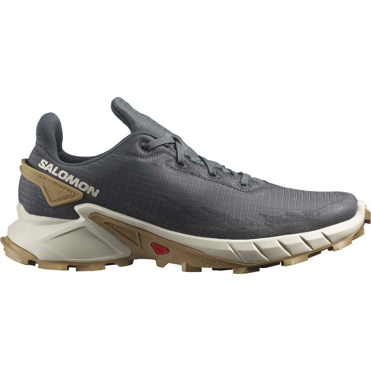 Salomon Alphacross 4 Erkek Ayakkabısı Ebony/Rainy/Day
