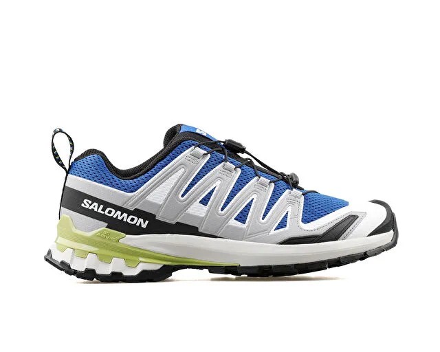 Salomon Xa Pro 3D V9 Erkek Koşu Ayakkabısı