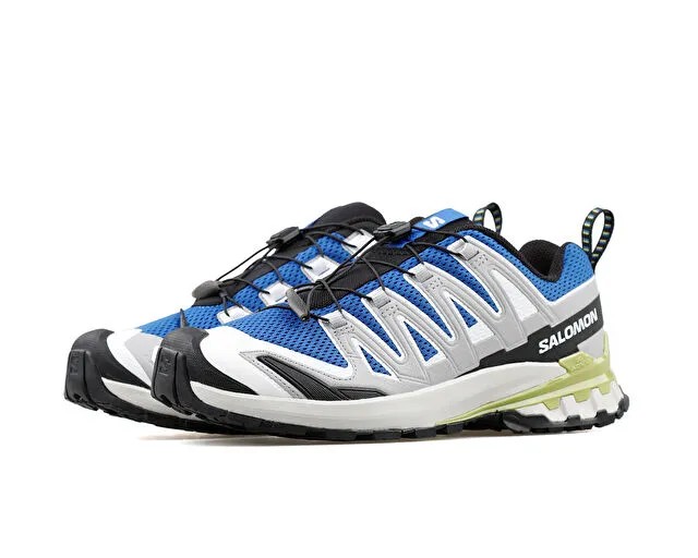 Salomon Xa Pro 3D V9 Erkek Koşu Ayakkabısı