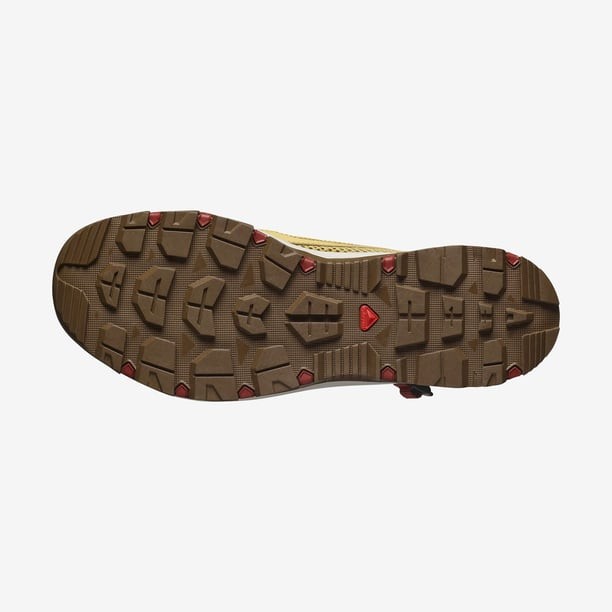 Salomon Techamphibian 5 Erkek Su Ayakkabısı