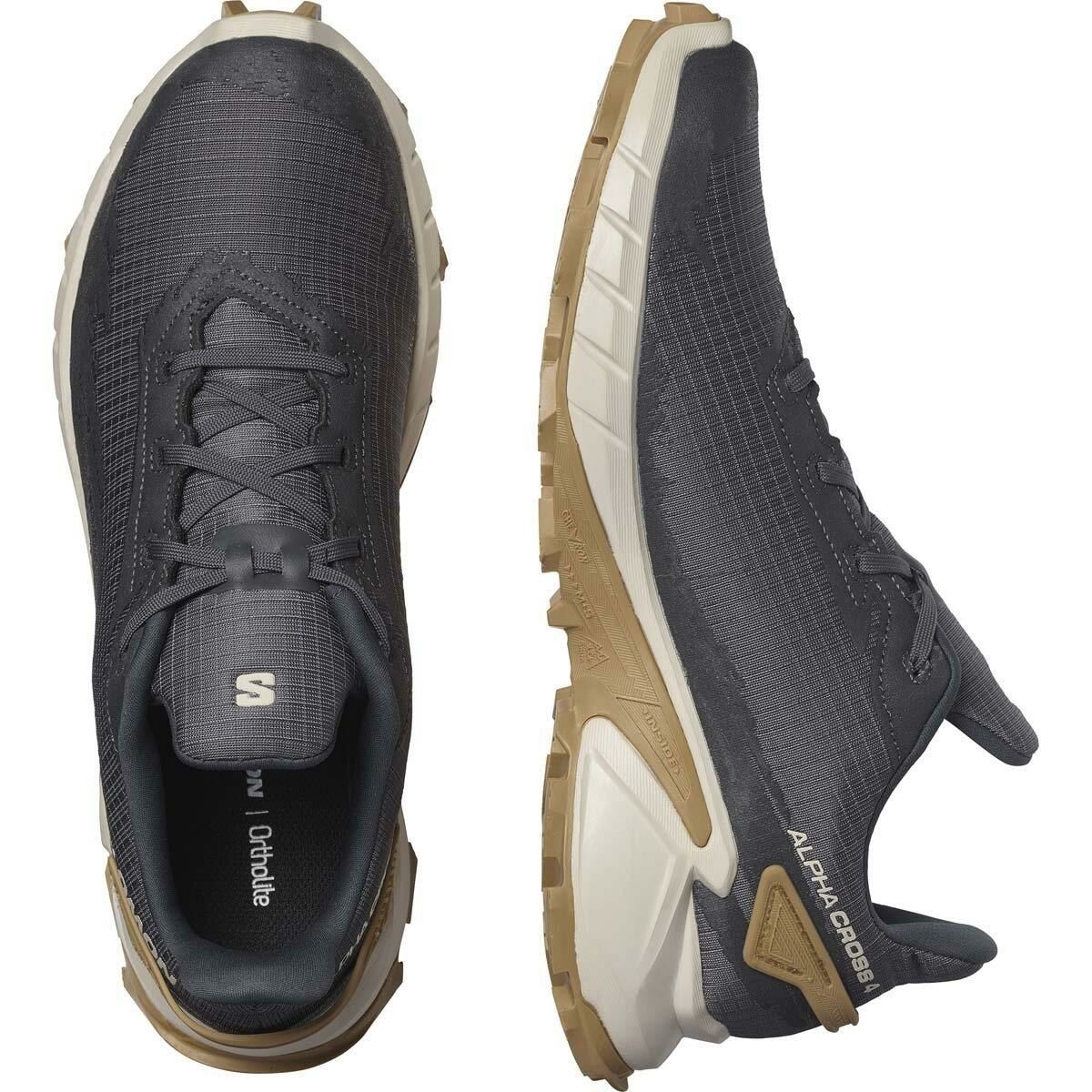 Salomon Alphacross 4 Erkek Ayakkabısı Ebony/Rainy/Day