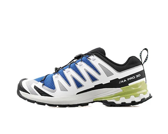 Salomon Xa Pro 3D V9 Erkek Koşu Ayakkabısı