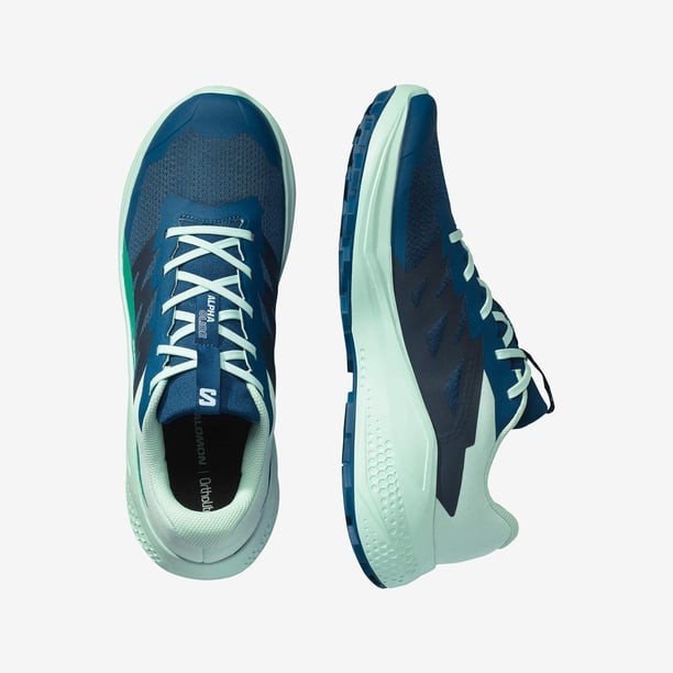 Salomon Alphaglide Erkek Koşu/Fitness Ayakkabı