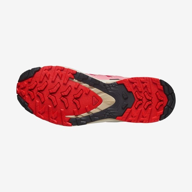 Salomon Xa Pro 3D V9 W Koşu Ayakkabısı