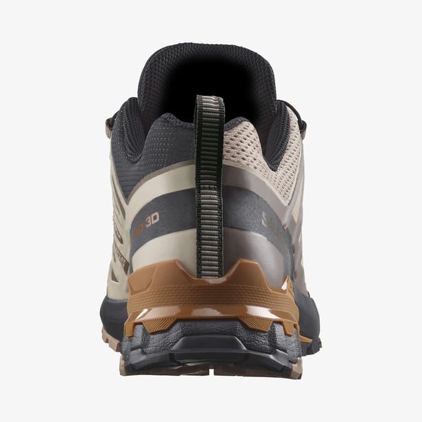 Salomon Xa Pro 3D V9 Erkek Koşu Ayakkabısı