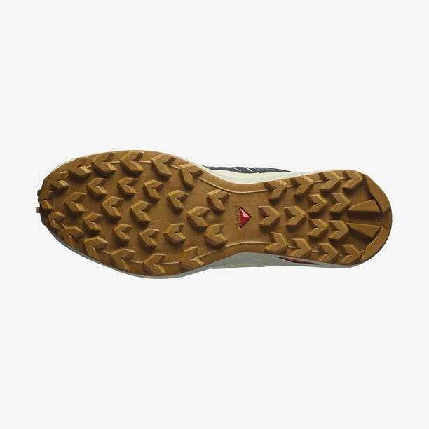 Salomon Speedcross Peak Patika Koşu Ayakkabısı