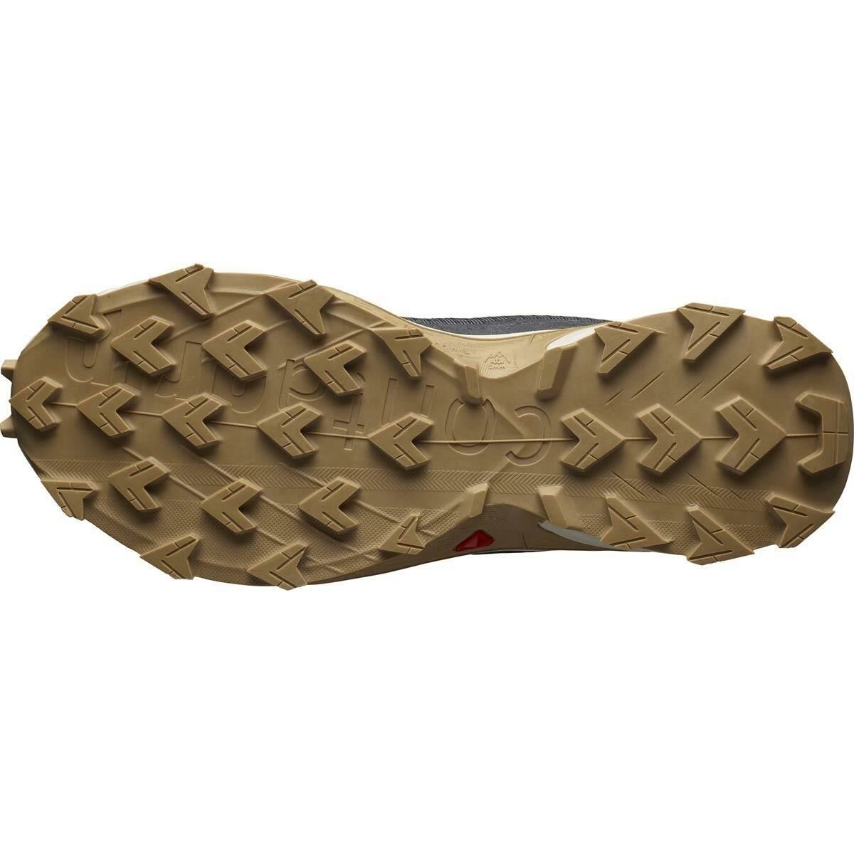 Salomon Alphacross 4 Erkek Ayakkabısı Ebony/Rainy/Day