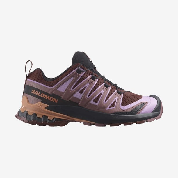 Salomon Xa Pro 3D V9 W Koşu Ayakkabısı