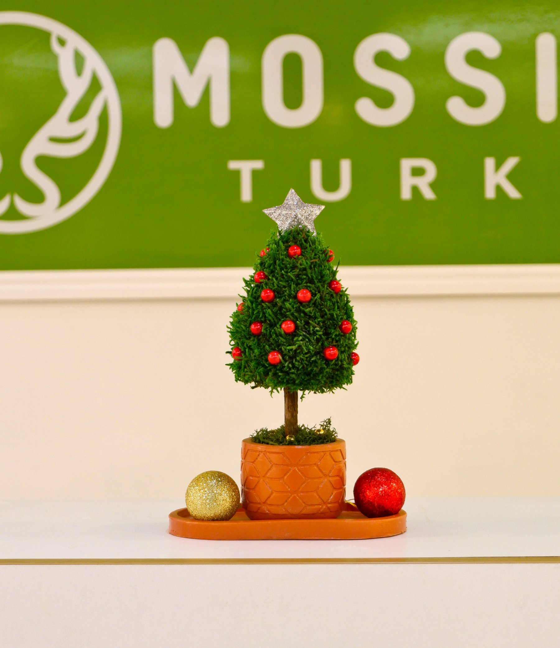 Christmas Moss Ağaç - Kokina