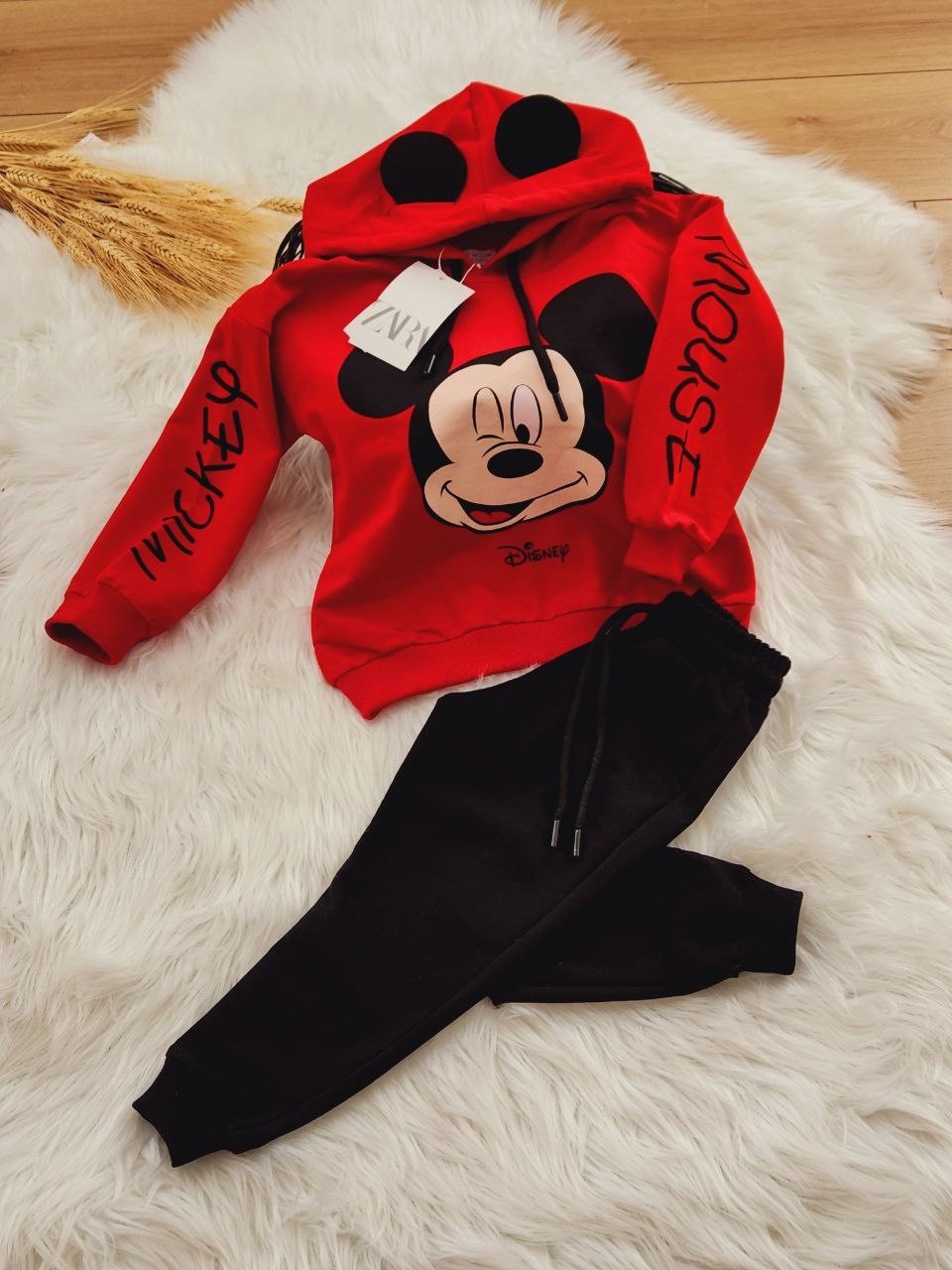 Mickey Mouse Takım