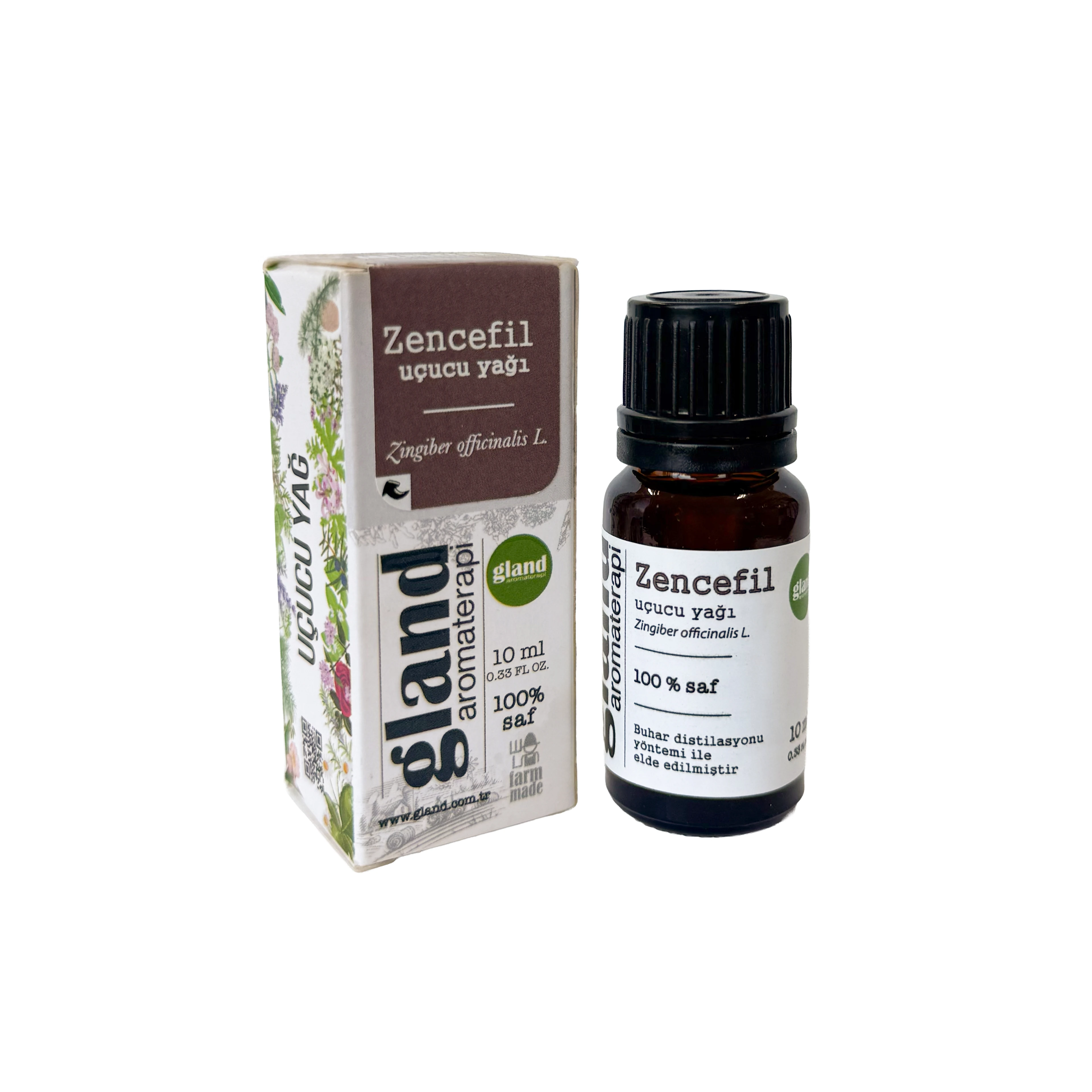Zencefil Uçucu Yağı - Zingiber offacinalis L.