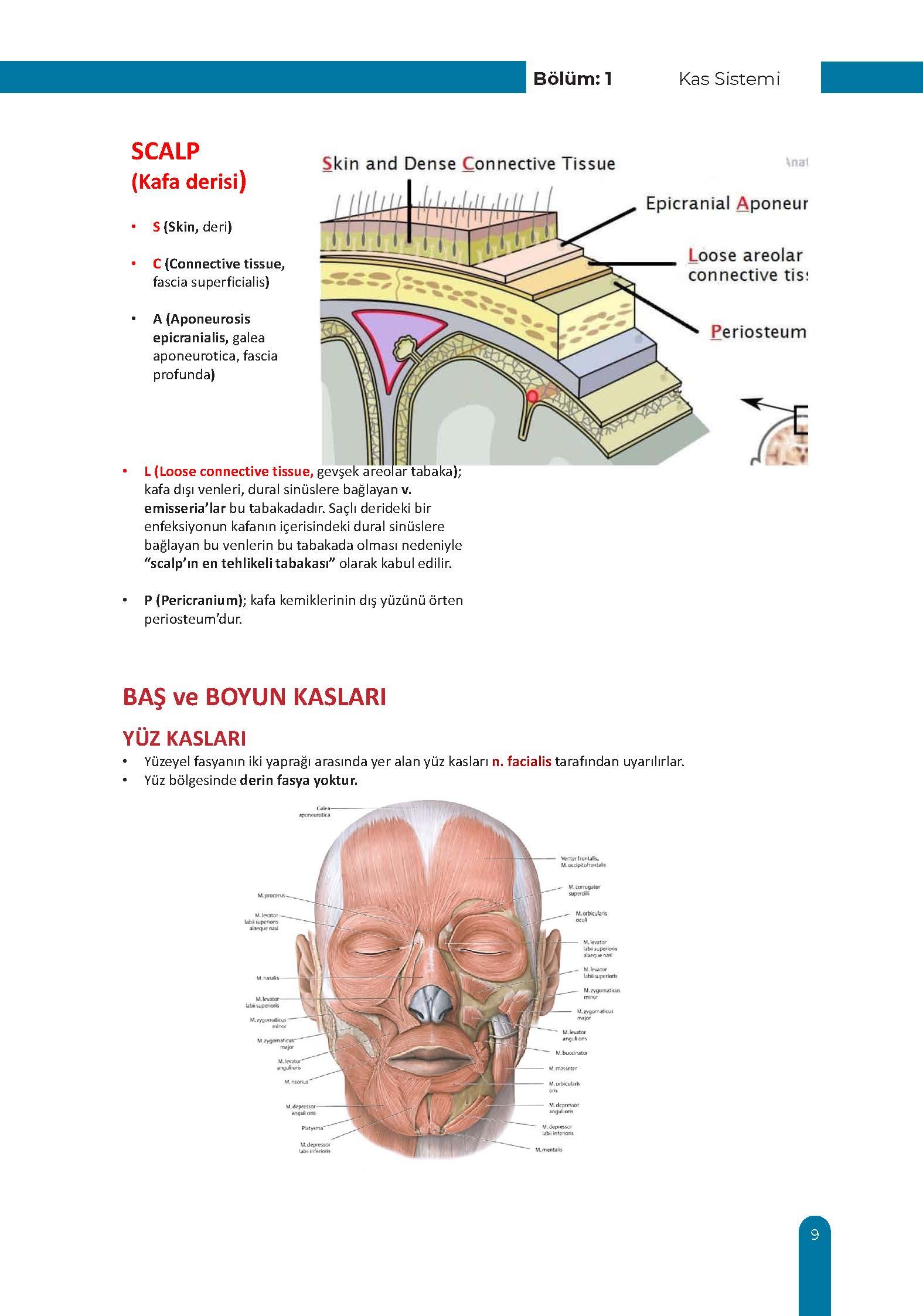 Kaslar Ders Kurulu Dönem-1