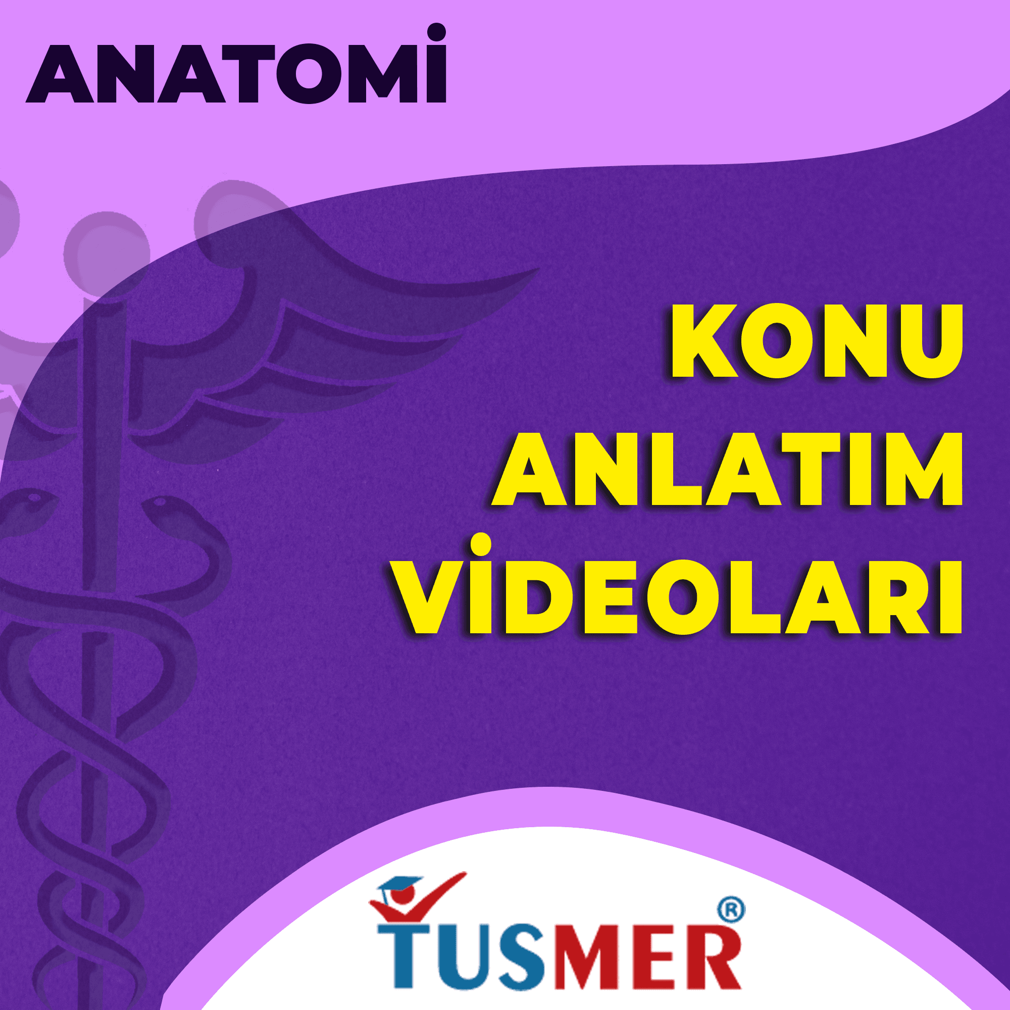 Anatomi Konu Anlatım Videoları