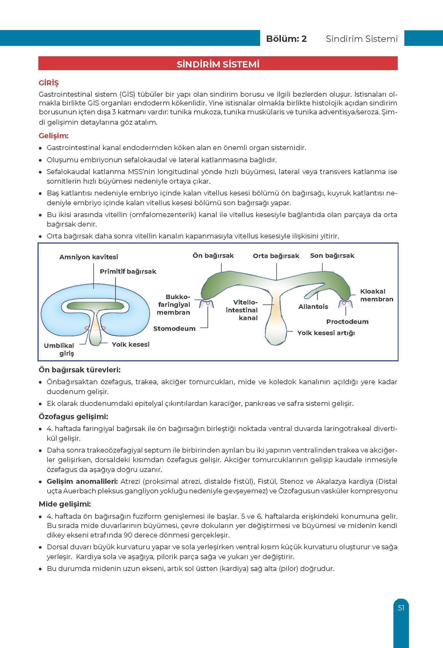 Gastrointestinal Ders Kurulu Dönem-2