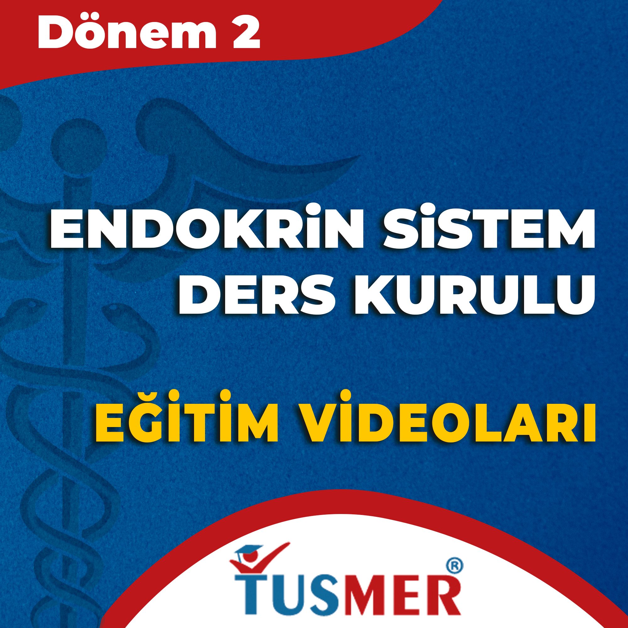 Dönem 2 - Endokrin Sistem Kurul Paketi