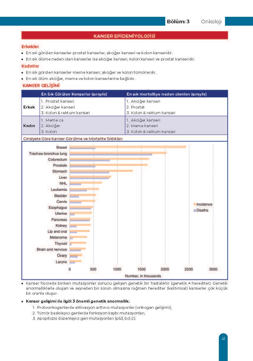 Neoplazi Ders Kurulu Dönem-3