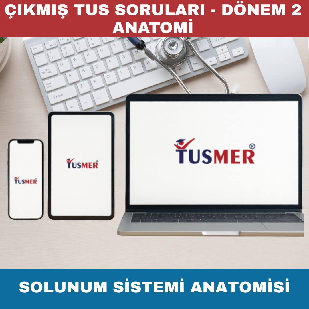 Solunum Sistemi Anatomisi Çıkmış Sorular