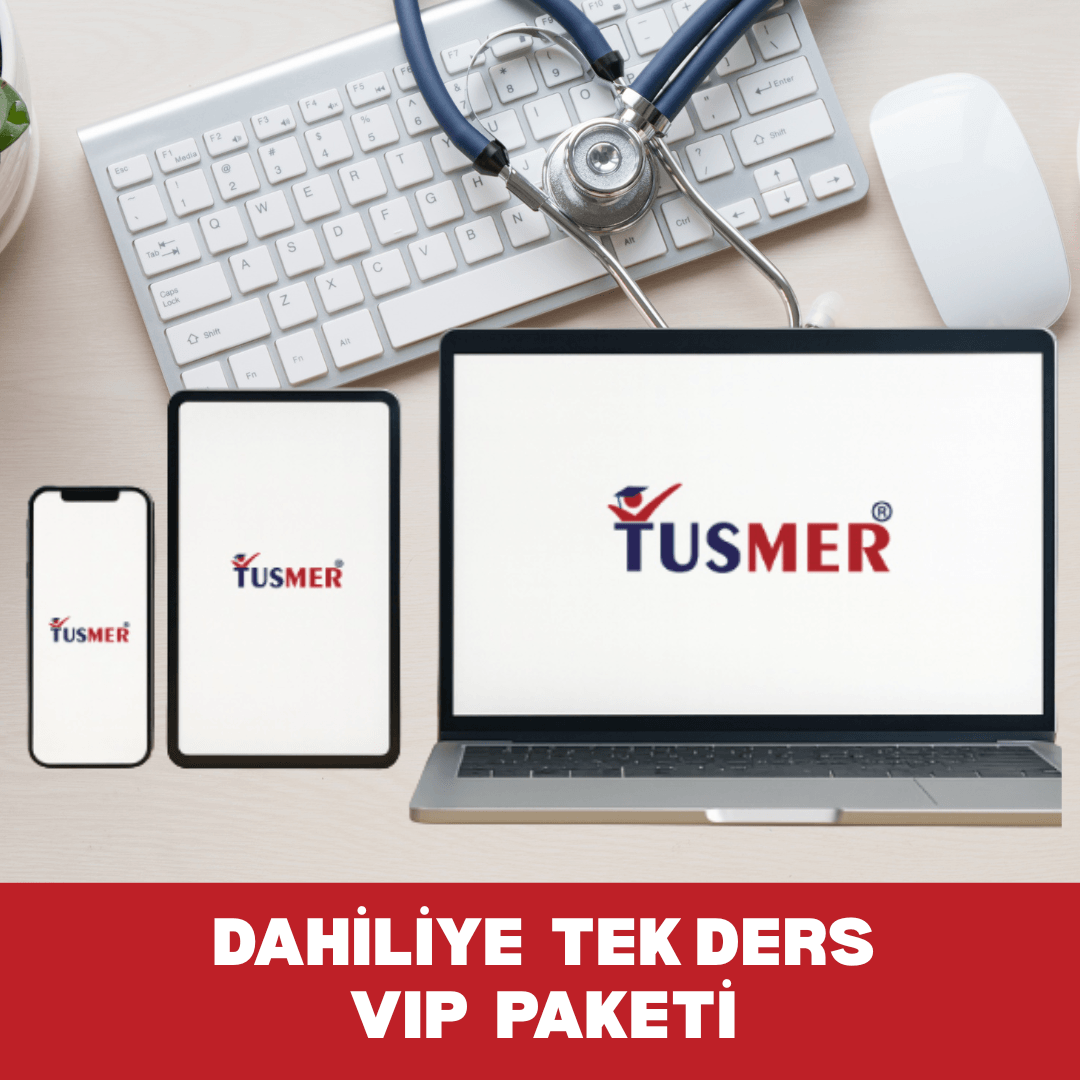 Dahiliye Tek Ders VIP Paketi