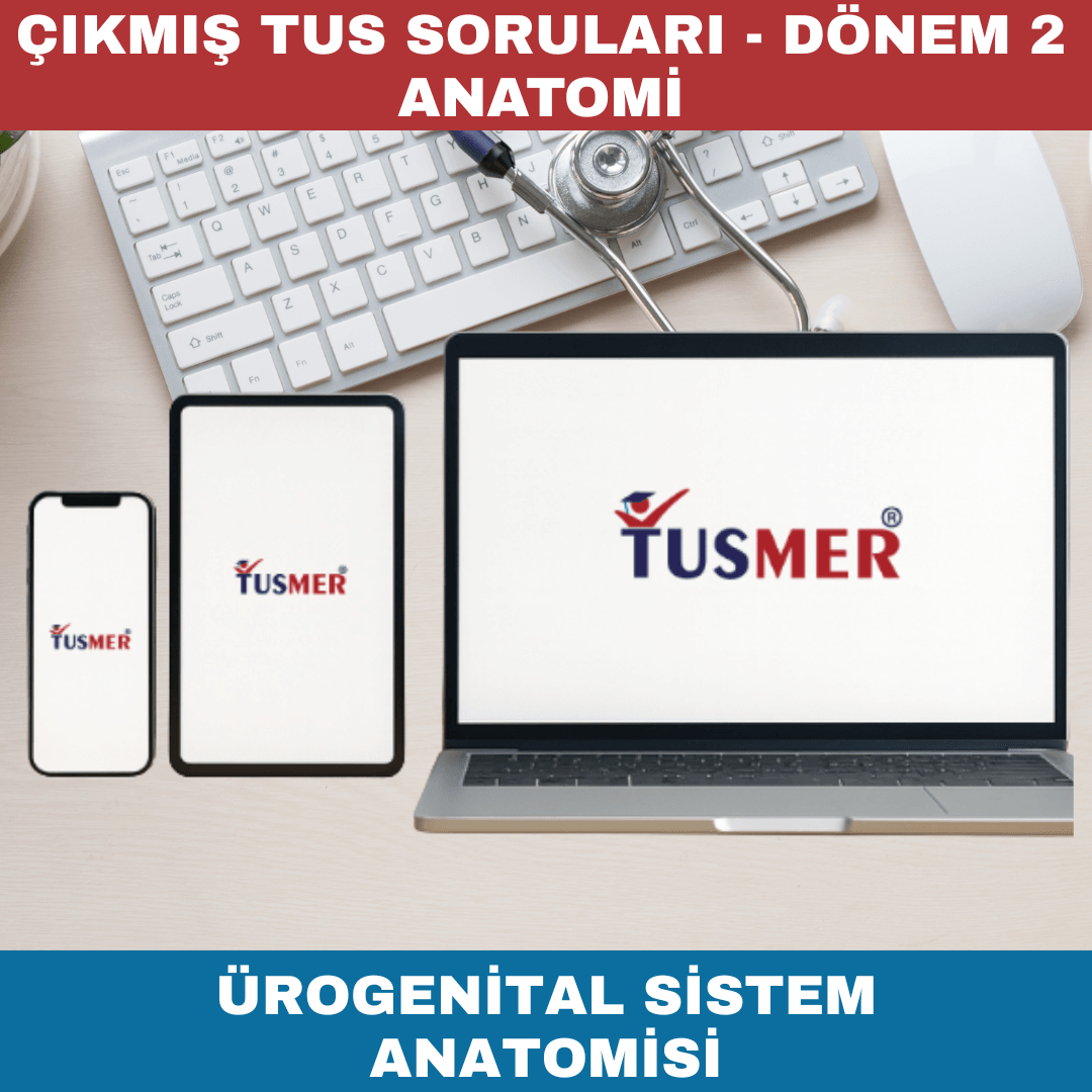 Ürogenital Sistem Anatomisi Çıkmış Sorular