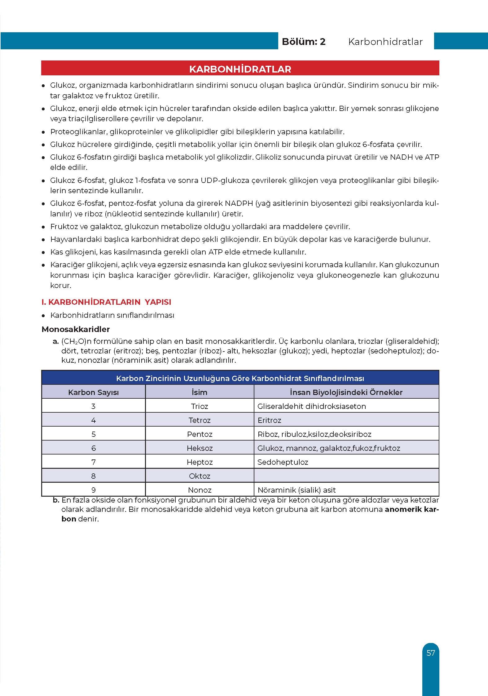 Metabolizma Ders Kurulu Dönem-1