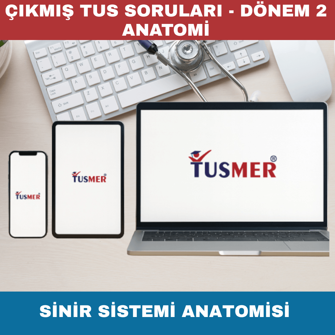 Sinir Sistemi Anatomisi Çıkmış Sorular