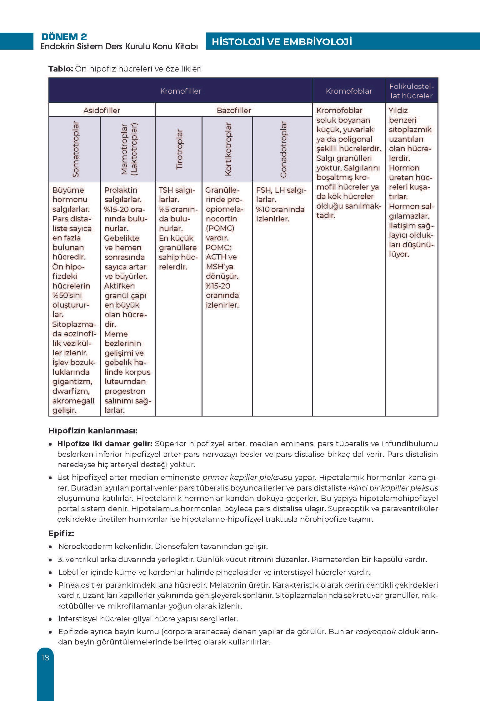 Endokrin Sistem Ders Kurulu Dönem-2