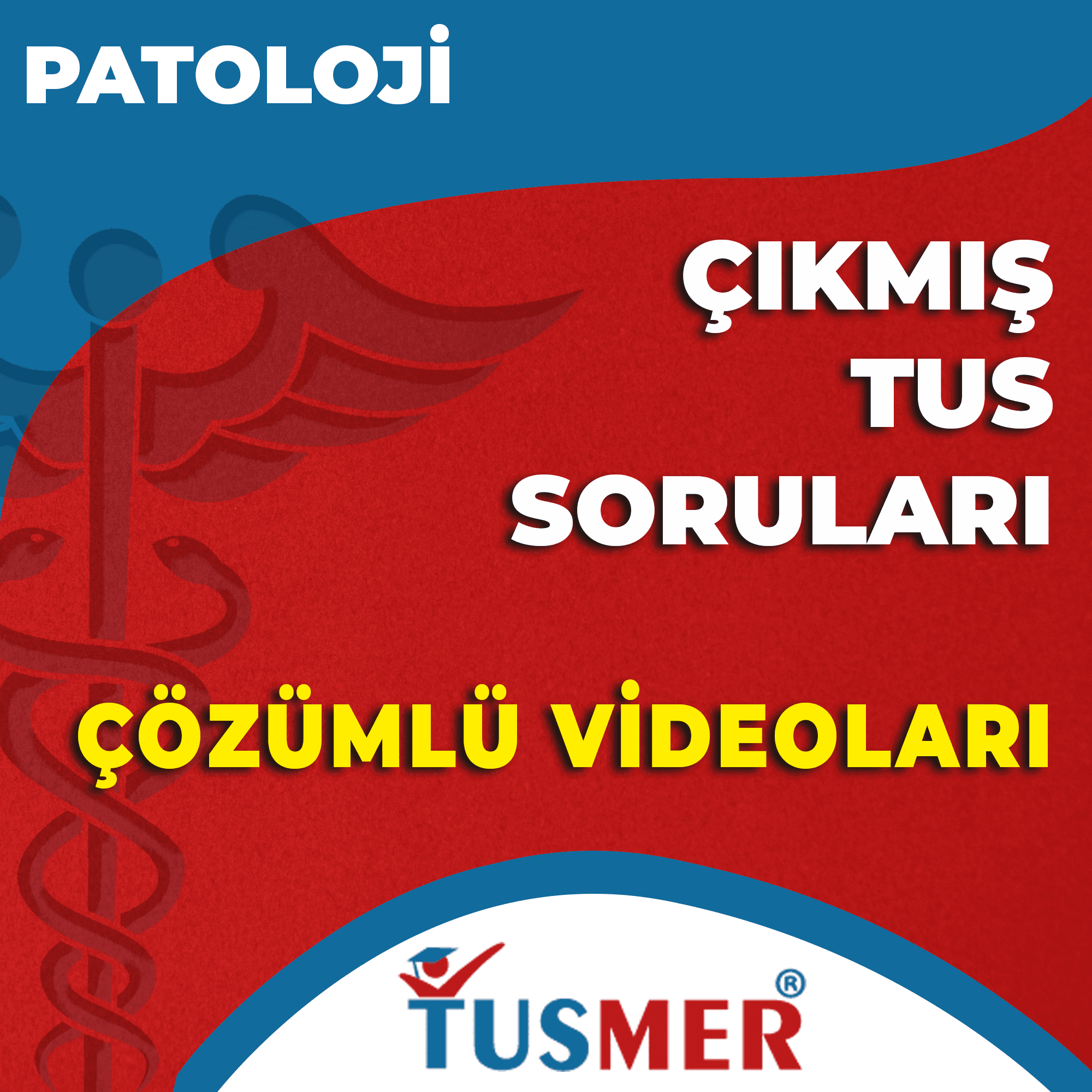 Patoloji Çıkmış Sorular - Aylık Paketler