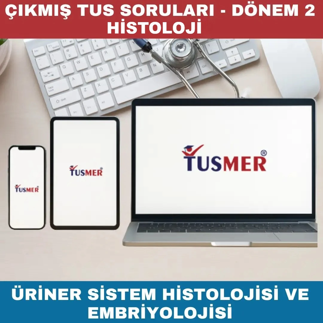 Dönem 2 - Üriner Sistem Histolojisi ve Embriyolojisi Çıkmış Sorular