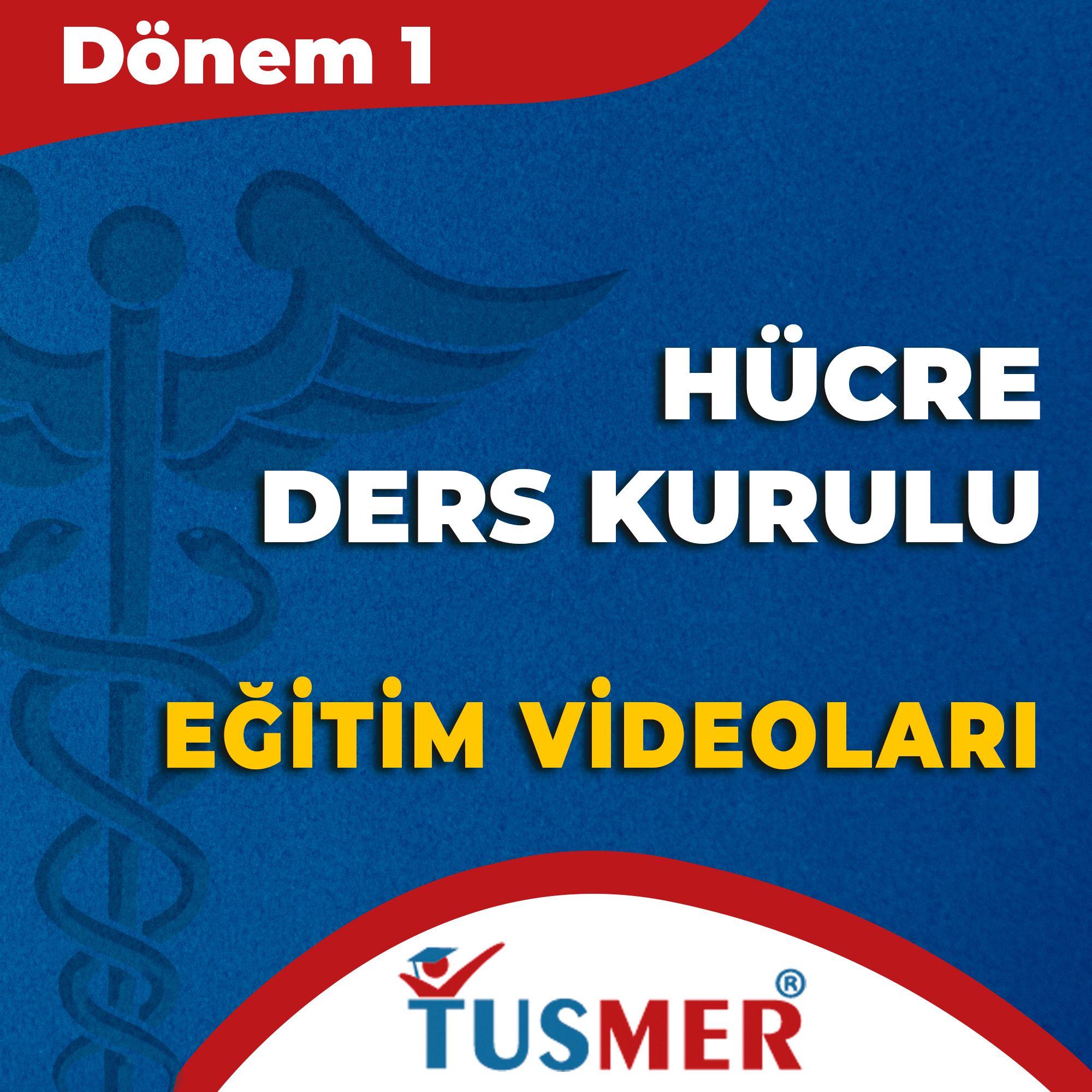 Dönem 1 - Hücre Kurul Paketi