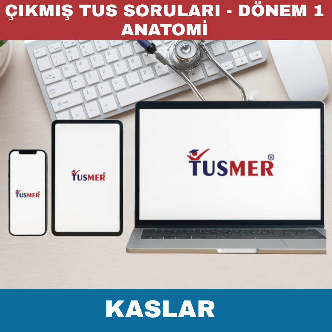 Dönem 1 Anatomi Kaslar Kurulu TUS Çıkmış Sorular