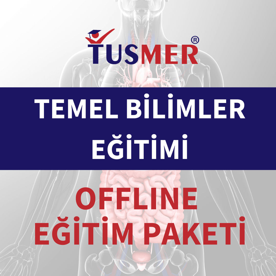 Temel Bilimler