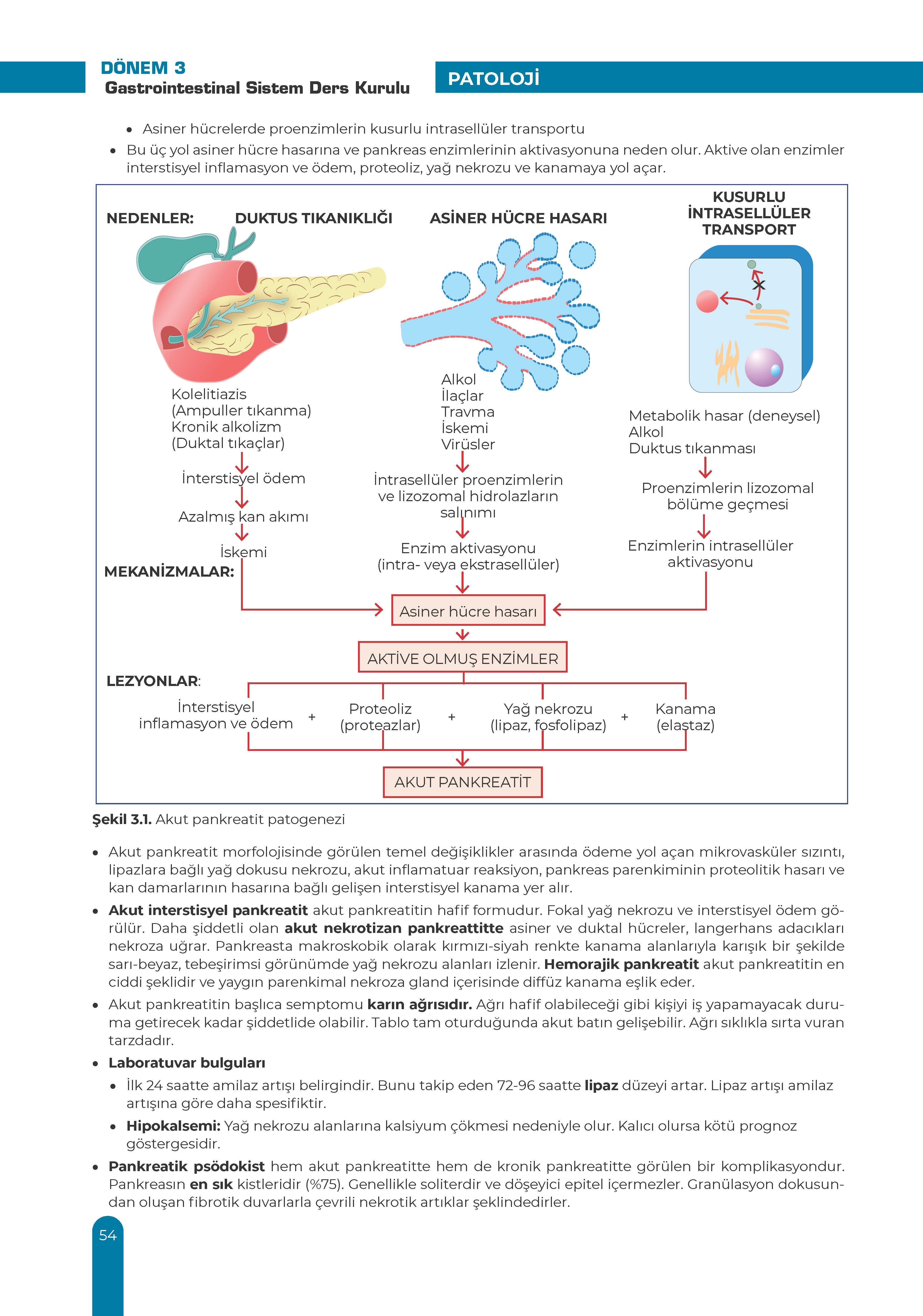 Gastrointestinal Ders Kurulu Dönem-3