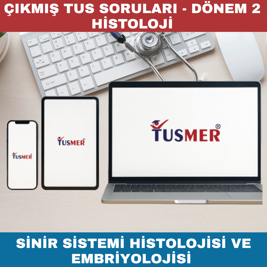 Sinir Sistemi Histolojisi ve Embriyolojisi Çıkmış Sorular