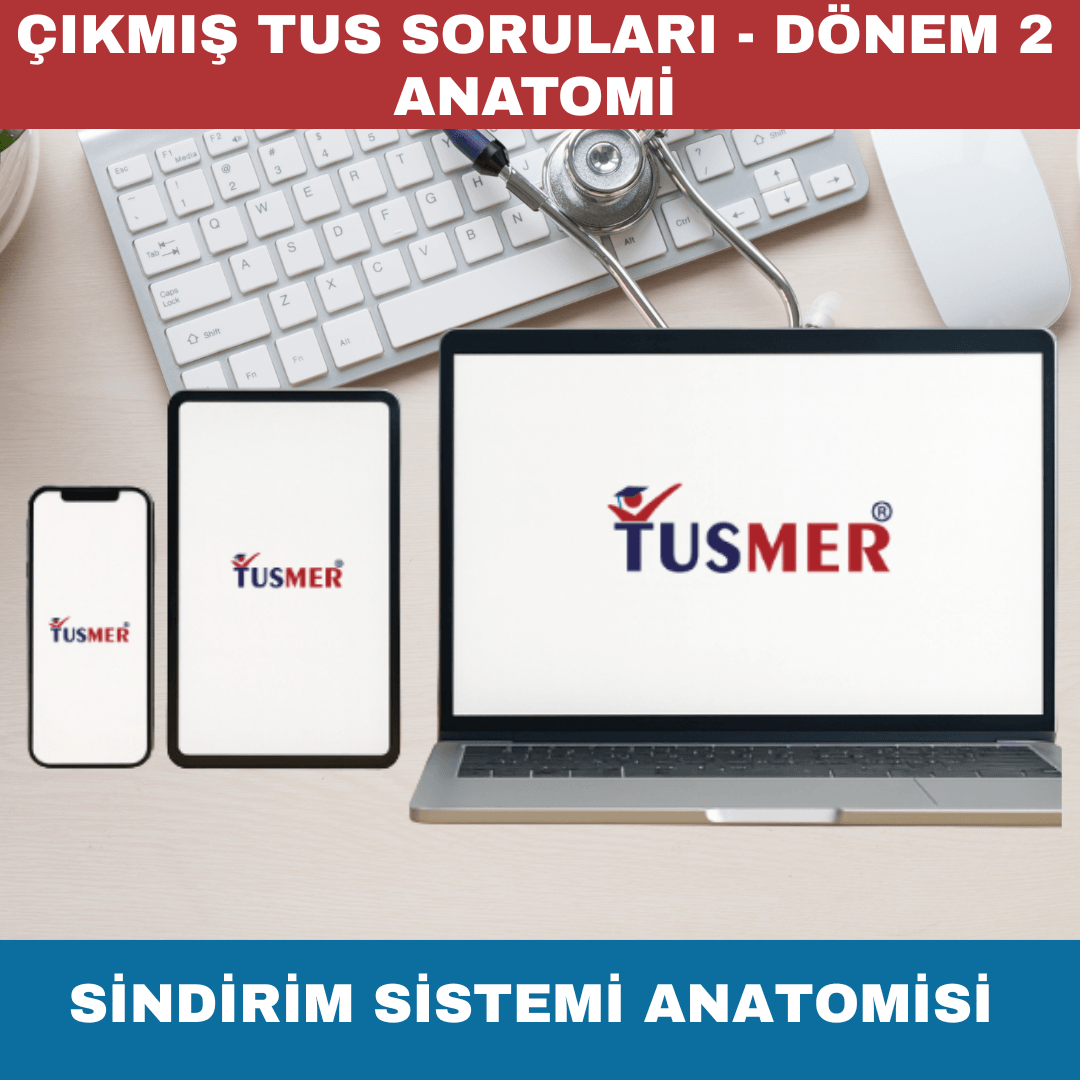 Sindirim Sistemi Anatomisi Çıkmış Sorular