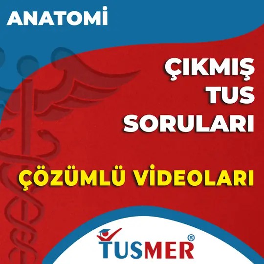 Anatomi Çıkmış Sorular - Aylık Paketler