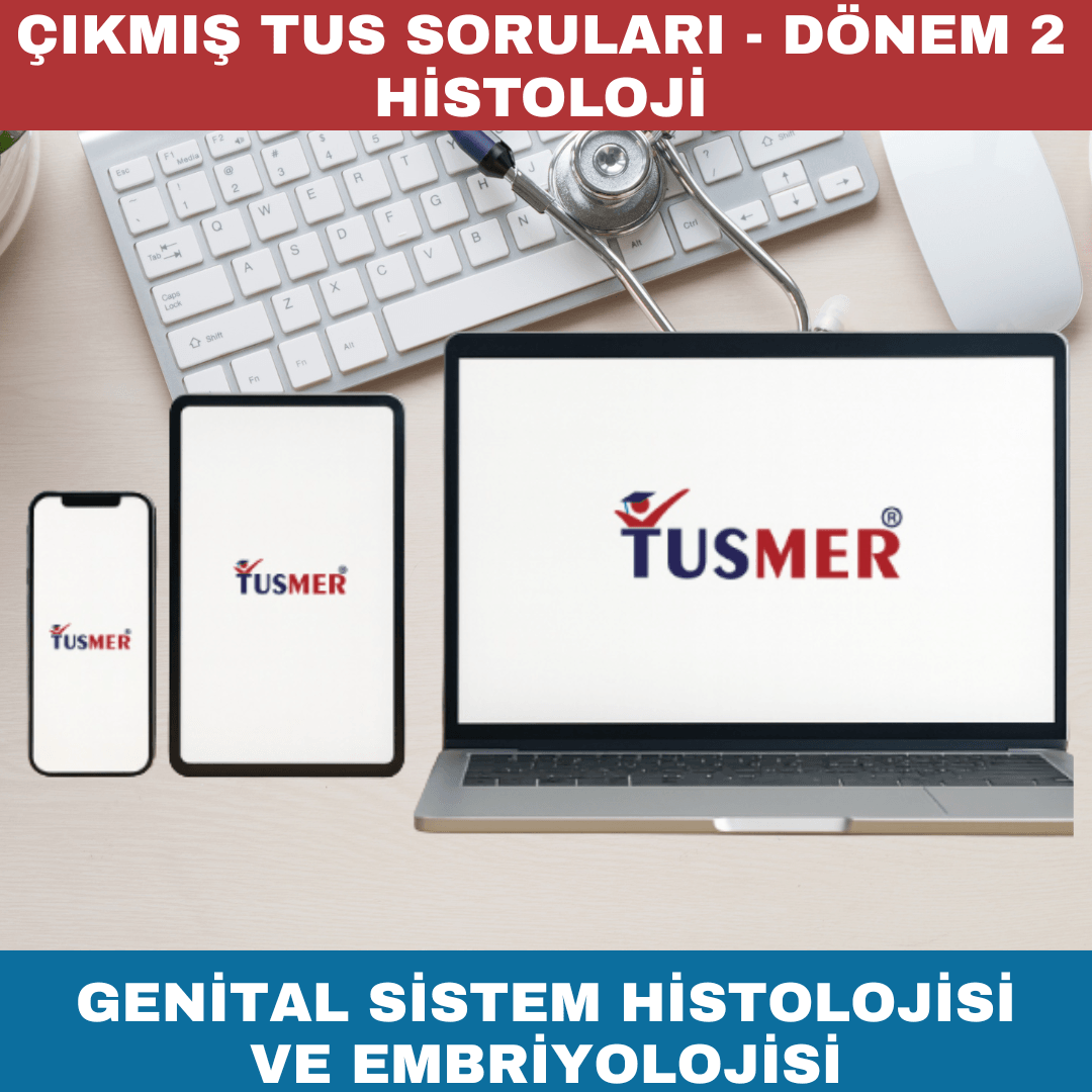Genital Sistem Histolojisi ve Embriyolojisi Çıkmış Sorular