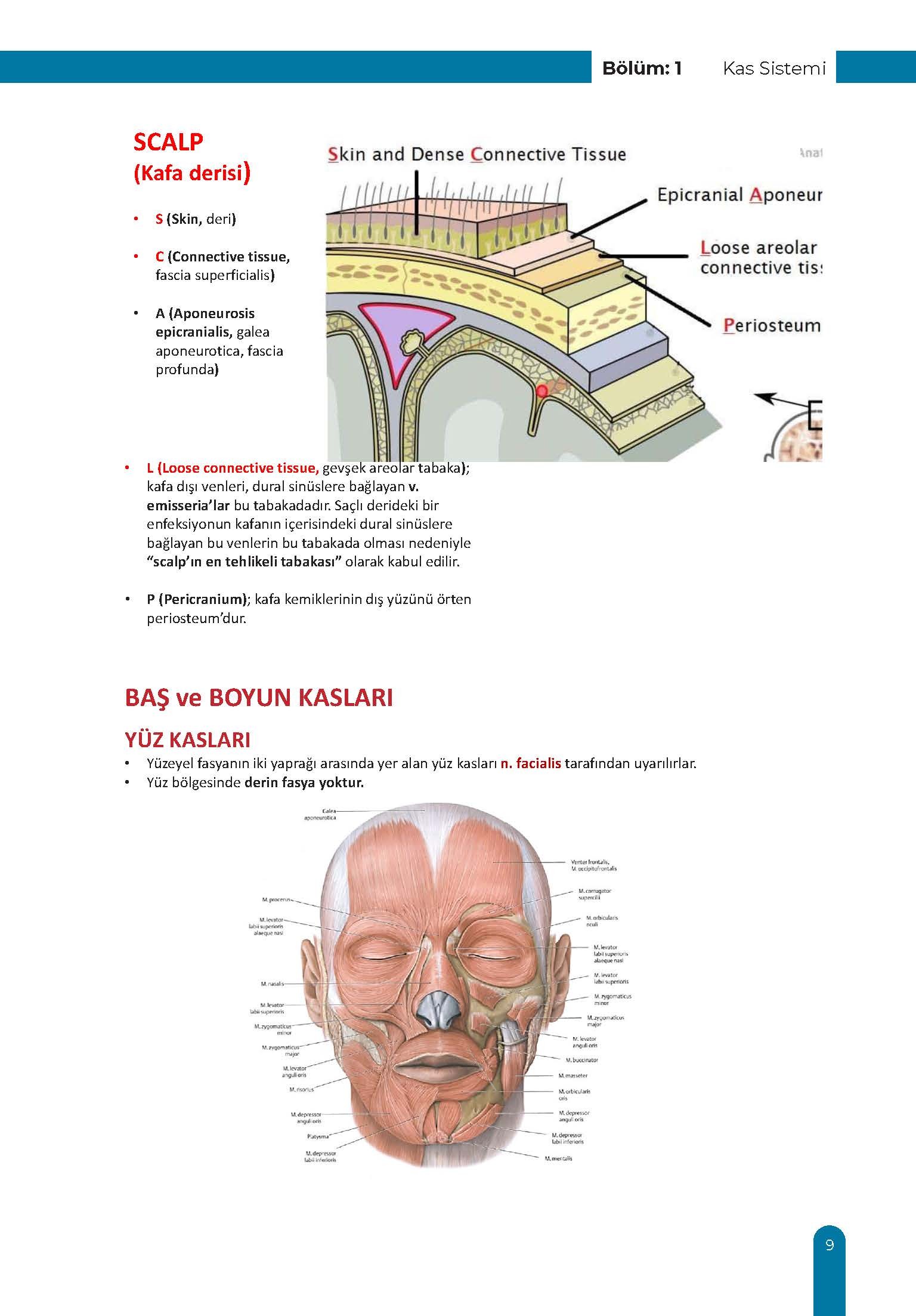 Kaslar Ders Kurulu Dönem-2