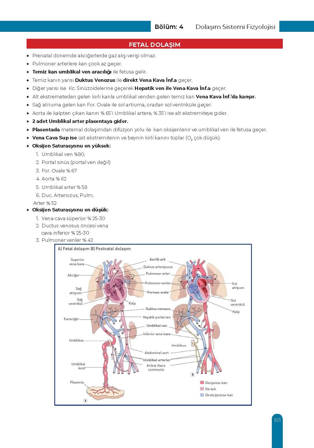 Dolaşım ve Lenfoid Sistem Ders Kurulu Dönem-2