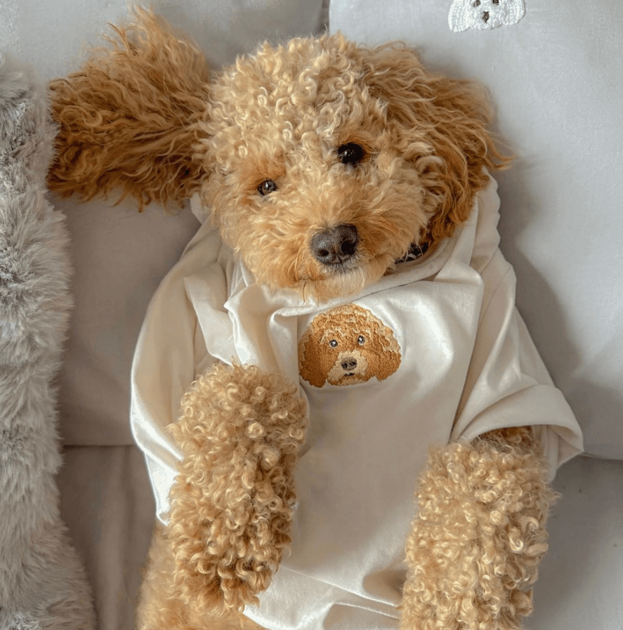 🐶🐈 T-SHIRT - Kişiye Özel Nakış Evcil Hayvan 🐶🐈