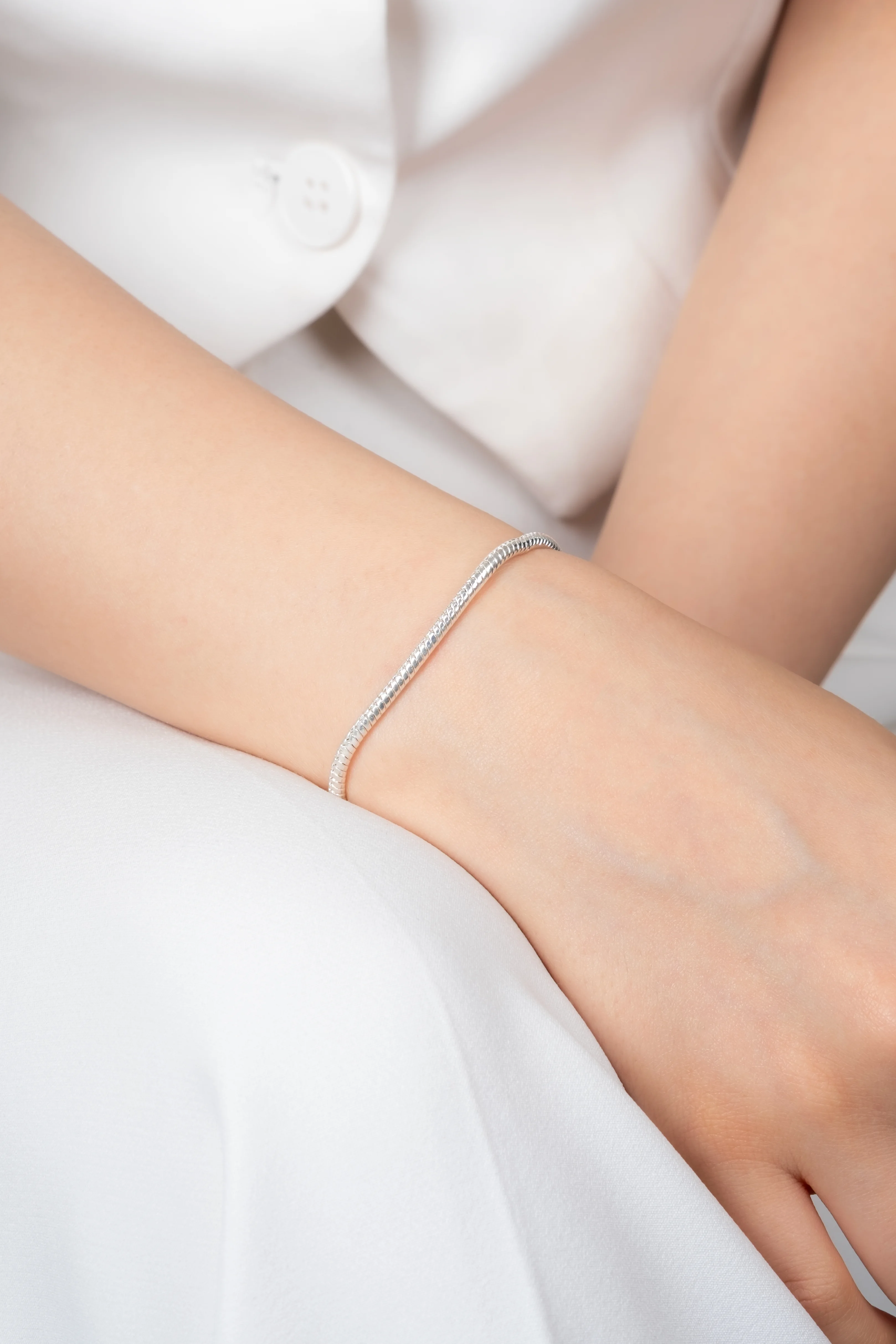 Çelik Asansörlü Silver Pandora