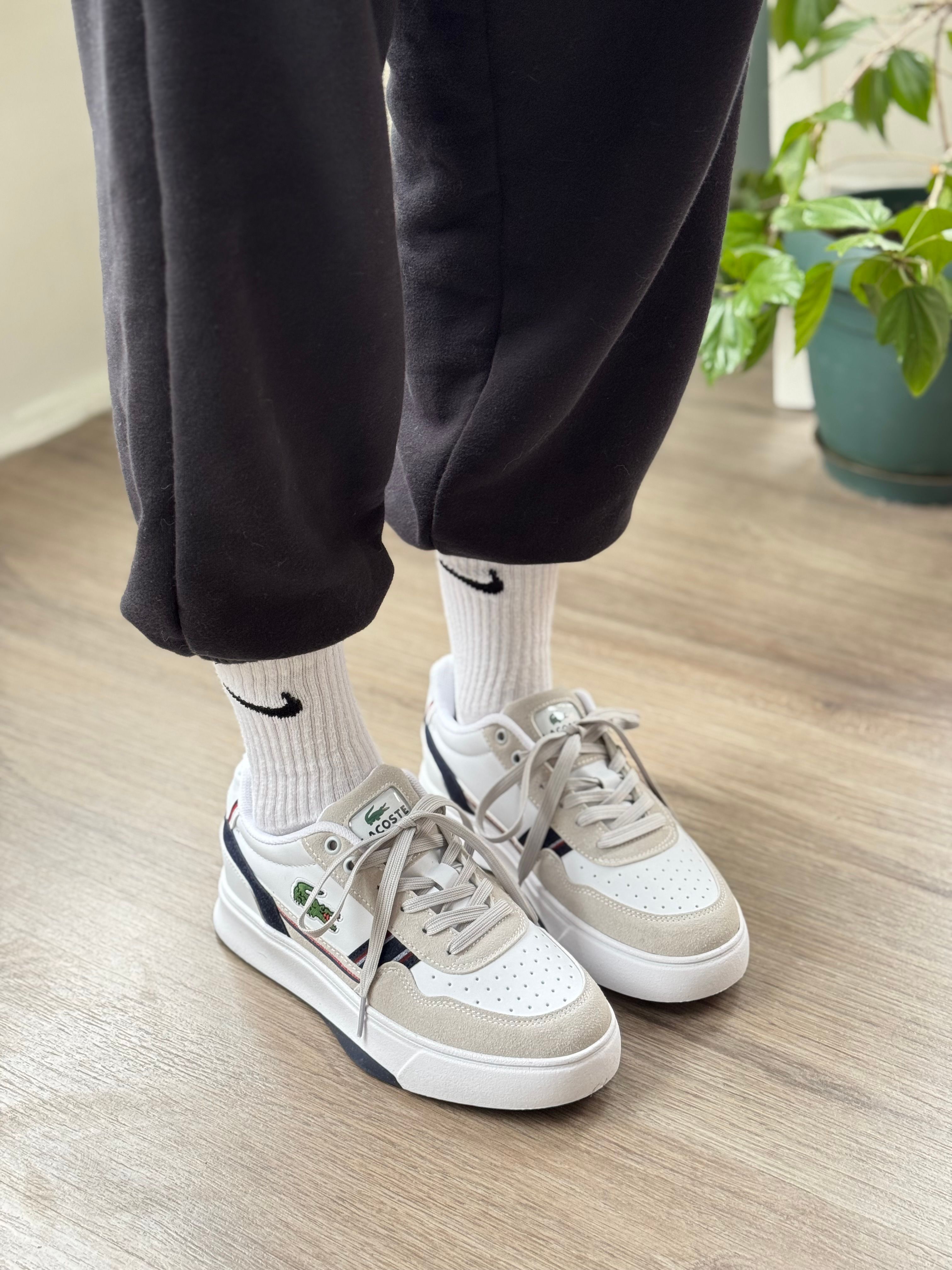 Lacoste Seth